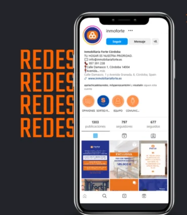 Inmobiliaria Forte